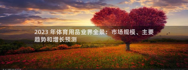 欧陆娱乐有限公司：2023 年体育用品业界全景：市场