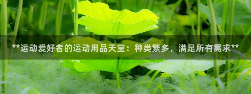 欧陆娱乐代理 贴吧是真的吗：**运动爱好者的运动用品