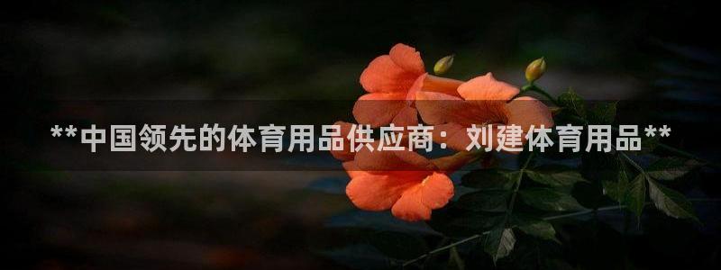 欧陆娱乐打什么方案赚钱：**中国领先的体育用品供应商