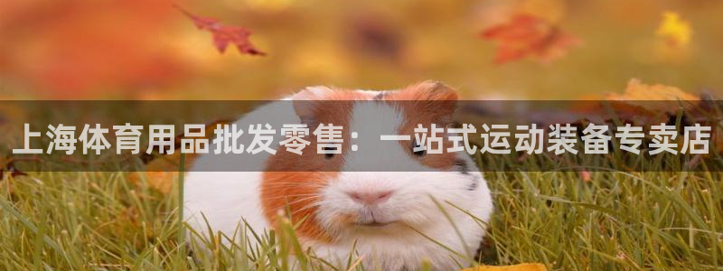 欧陆娱乐平台咋样赚钱快：上海体育用品批发零售：一站式