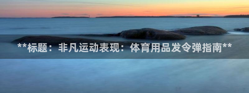 欧陆娱乐有限公司：**标题：非凡运动表现：体育用品发
