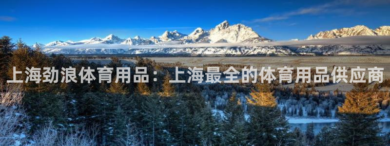 欧陆娱乐平台登录：上海劲浪体育用品：上海最全的体育用