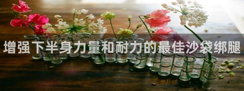 欧陆娱乐官网入口下载：增强下半身力量和耐力的最佳沙袋