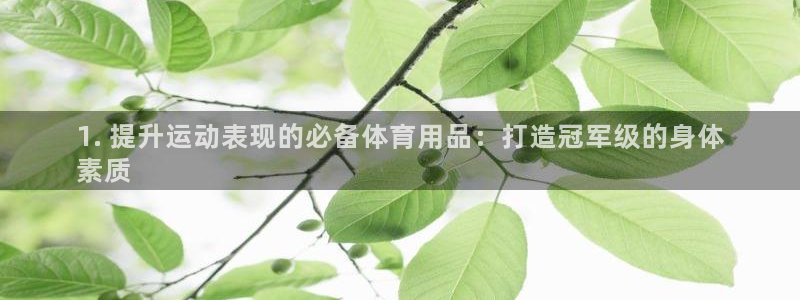 欧陆娱乐太阳：1. 提升运动表现的必备体育用品：打造