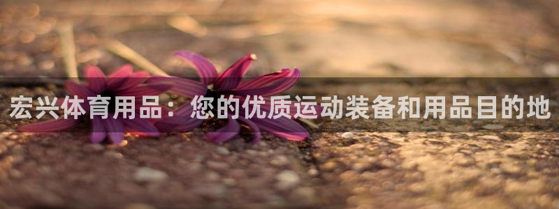 欧陆官方网站：宏兴体育用品：您的优质运动装备和用品目