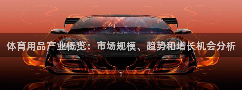 欧陆娱乐平台登录：体育用品产业概览：市场规模、趋势和