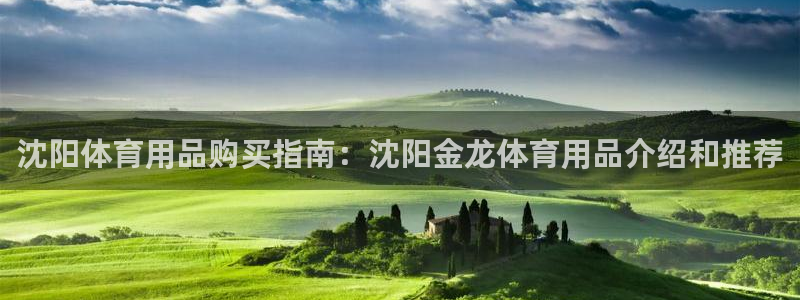 欧陆娱乐挂机怎么玩：沈阳体育用品购买指南：沈阳金龙体