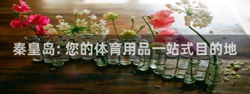 欧陆娱乐官方网站首页：秦皇岛: 您的体育用品一站式目
