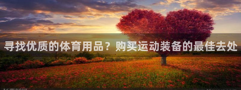 欧陆娱乐登陆官网网址：寻找优质的体育用品？购买运动装