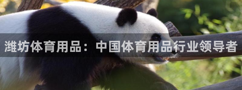 欧陆娱乐脚本怎么用：潍坊体育用品：中国体育用品行业领