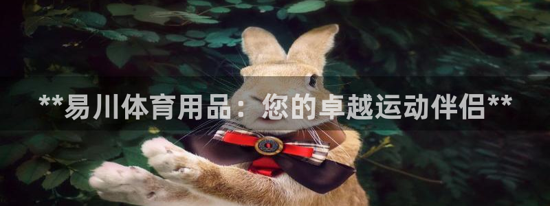 欧陆娱乐有限公司怎么样：**易川体育用品：您的卓越运
