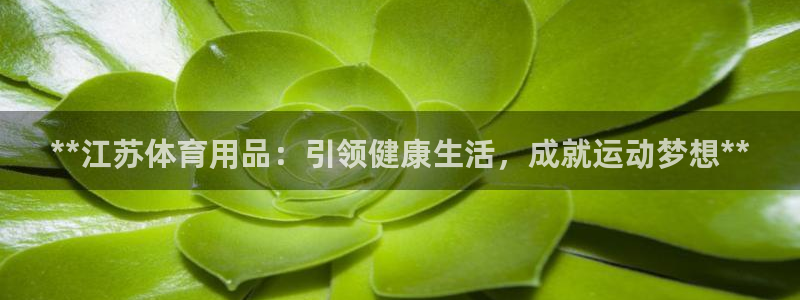 欧陆娱乐怎么注册账号啊：**江苏体育用品：引领健康生