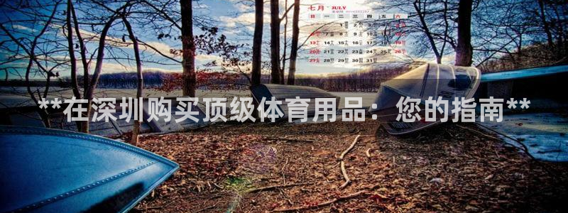 欧陆娱乐注册链接安全吗：**在深圳购买顶级体育用品：