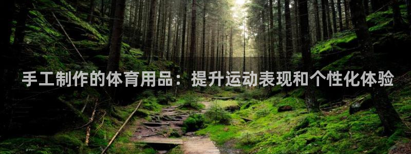 欧陆娱乐官方网站： 手工制作的体育用品：提升运动表现