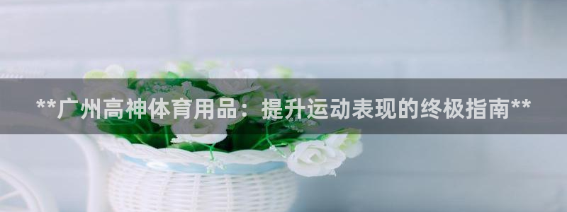欧陆娱乐登录平台官网：**广州高神体育用品：提升运动