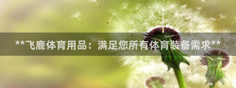 欧陆娱乐有限公司招聘：**飞鹿体育用品：满足您所有体