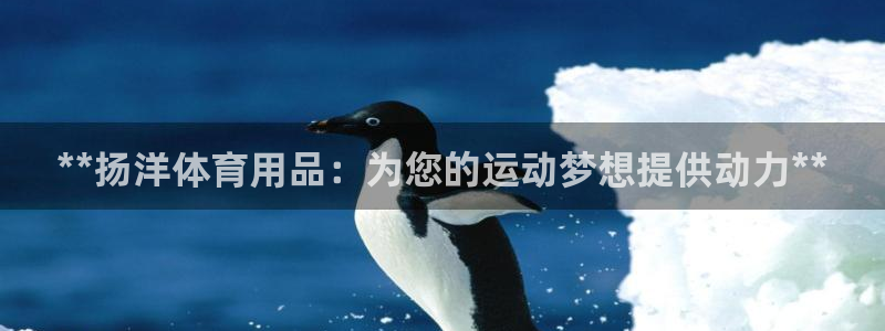 欧陆娱乐微信众：**扬洋体育用品：为您的运动梦想提供