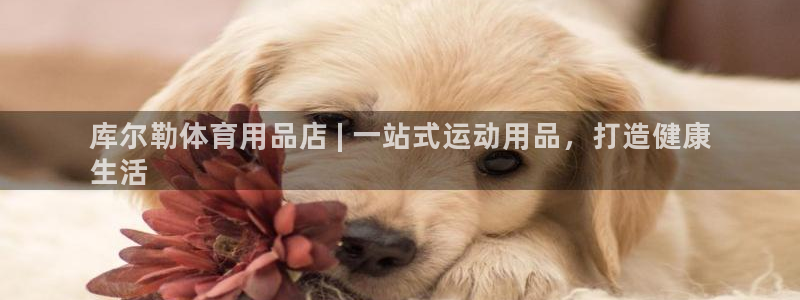 欧陆娱乐代理 贴吧怎么样：库尔勒体育用品店 | 一站