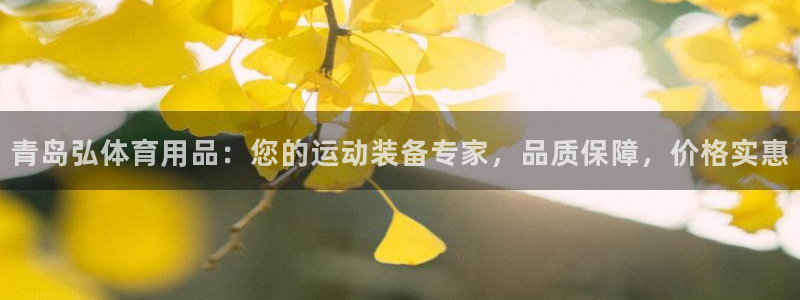 欧陆娱乐官网网址：青岛弘体育用品：您的运动装备专家，