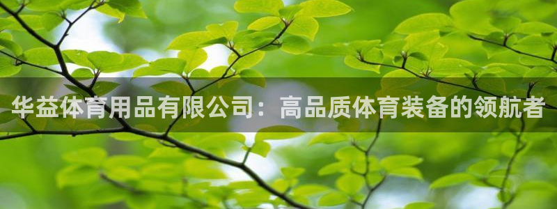 欧陆娱乐注册代理多少钱：华益体育用品有限公司：高品质