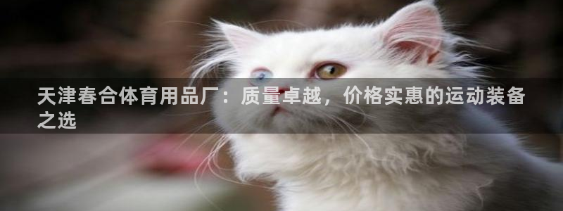 欧陆娱乐百科大全：天津春合体育用品厂：质量卓越，价格