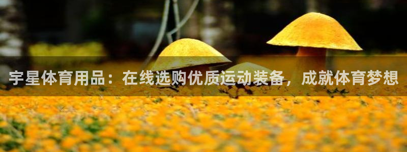 欧陆娱乐挂机怎么玩：宇星体育用品：在线选购优质运动装