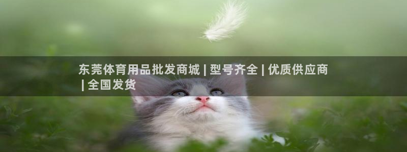 欧陆娱乐群里怎么进：东莞体育用品批发商城 | 型号齐