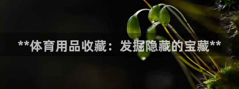 欧陆娱乐是干什么的：**体育用品收藏：发掘隐藏的宝藏