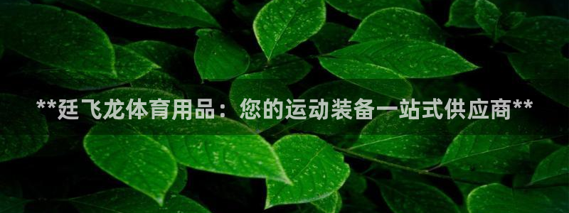 欧陆娱乐平台咋样啊赚钱：**廷飞龙体育用品：您的运动