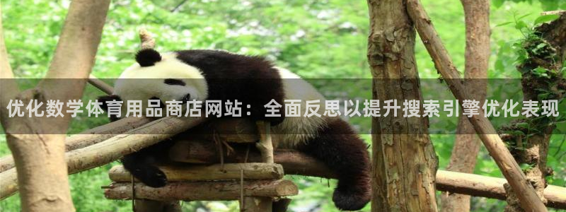 欧陆娱乐欧陆主管：优化数学体育用品商店网站：全面反思
