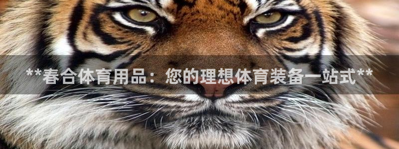 欧陆娱乐登录平台：**春合体育用品：您的理想体育装备