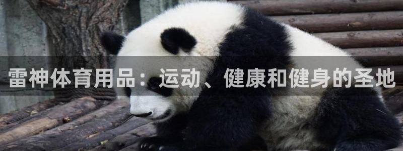 欧陆娱乐请输入USDT地址：雷神体育用品：运动、健康