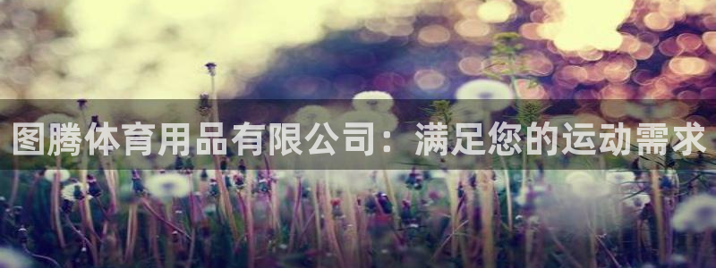 欧陆娱乐线路测速：图腾体育用品有限公司：满足您的运动