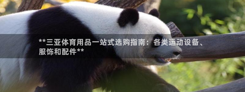 欧陆娱乐线路测速：**三亚体育用品一站式选购指南：各