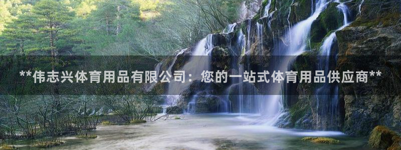 欧陆娱乐图片：**伟志兴体育用品有限公司：您的一站式