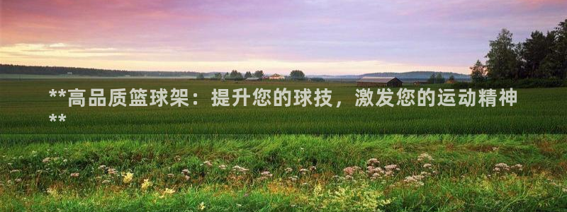 欧陆娱乐官方网站：**高品质篮球架：提升您的球技，激