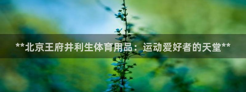 欧陆娱乐登录官网：**北京王府井利生体育用品：运动爱