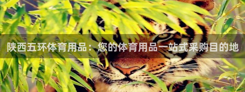 欧陆娱乐注册链接怎么弄：陕西五环体育用品：您的体育用