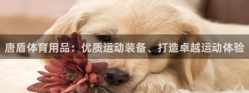欧陆娱乐挂机项目有哪些