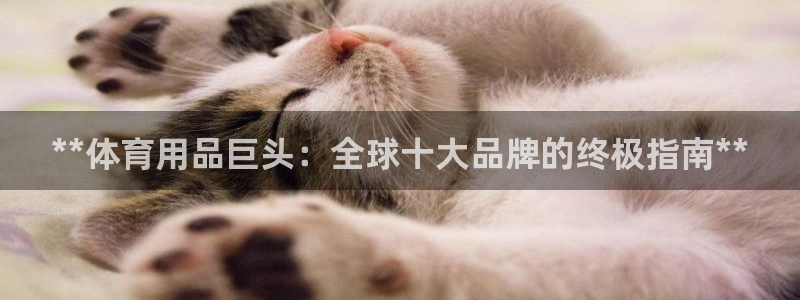 欧陆论坛：**体育用品巨头：全球十大品牌的终极指南*