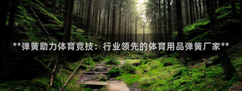 欧陆娱乐官方网站入口：**弹簧助力体育竞技：行业领先