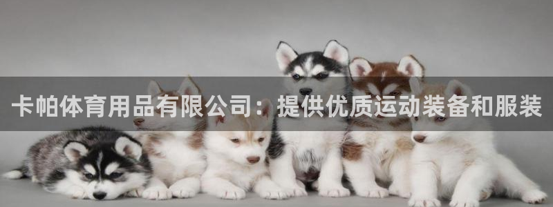 欧陆娱乐平台咋样啊安全吗：卡帕体育用品有限公司：提供