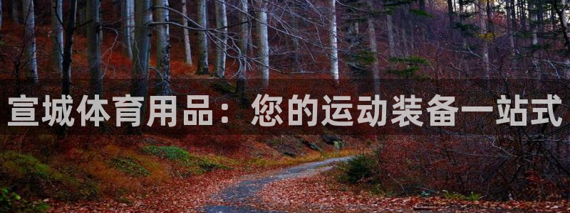 欧陆娱乐测试：宣城体育用品：您的运动装备一站式