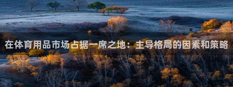 欧陆娱乐官方网站下载：在体育用品市场占据一席之地：主