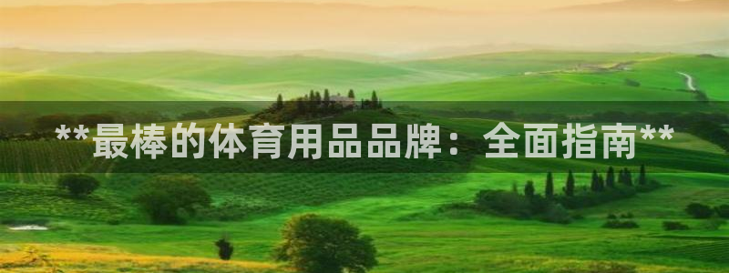 欧陆娱乐总代理：**最棒的体育用品品牌：全面指南**