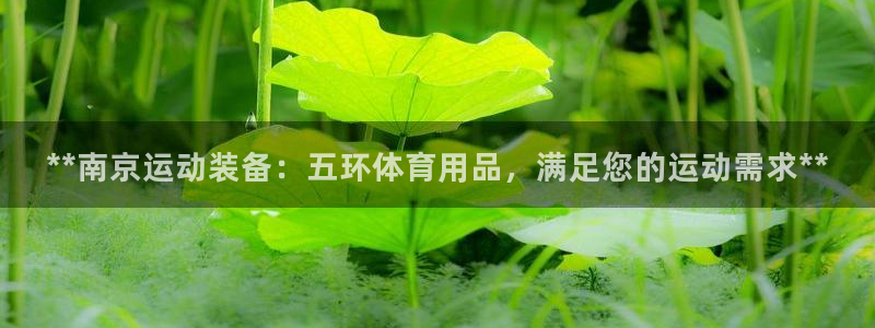 欧陆娱乐平台登录不上去：**南京运动装备：五环体育用