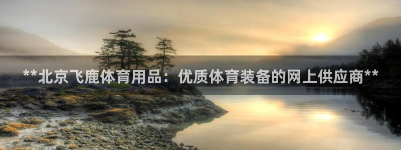 欧陆娱乐怎么注册账号：**北京飞鹿体育用品：优质体育