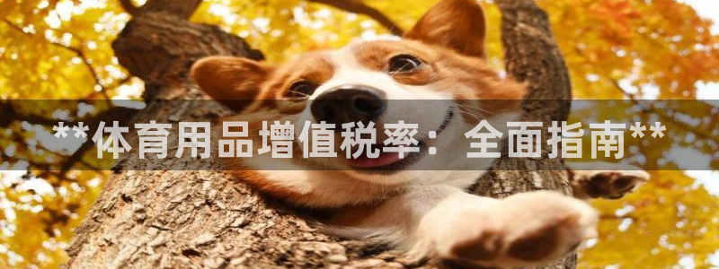 欧陆娱乐测速软件下载：**体育用品增值税率：全面指南