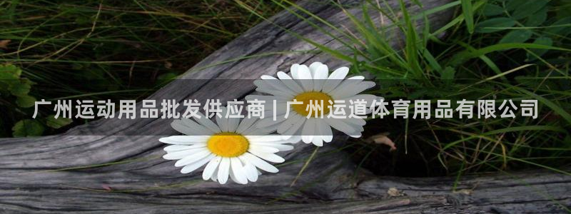 欧陆娱乐是那个旗下的品牌公司：广州运动用品批发供应商