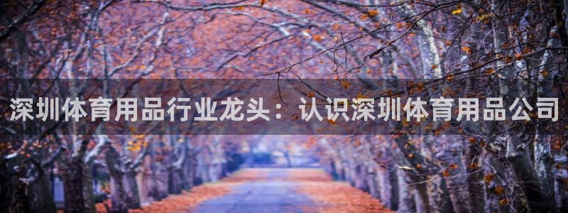 欧陆娱乐能提现嘛?：深圳体育用品行业龙头：认识深圳体